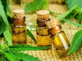 CBD oil bottles